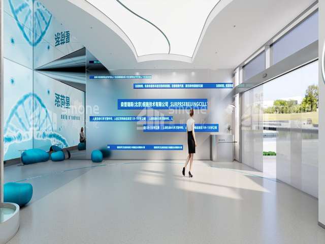 企业盆景哪家好